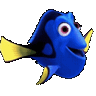 dory73