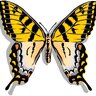 Mariposa420
