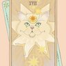 starcat01