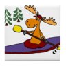 kayakmoose