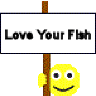 whitefish