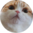 pclm
