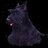 Bearcat