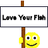whitefish
